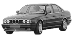 BMW E34 P1A06 Fault Code